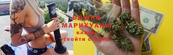дживик Ельня