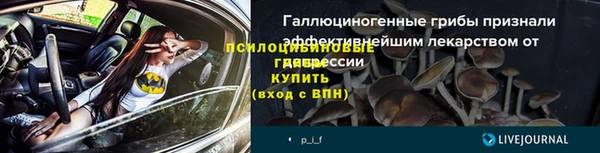 дживик Ельня