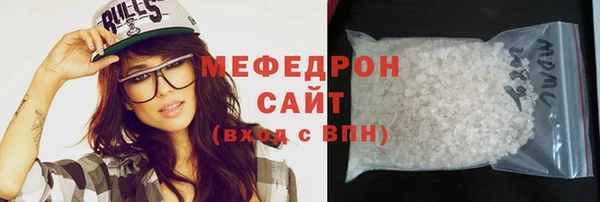 дживик Ельня
