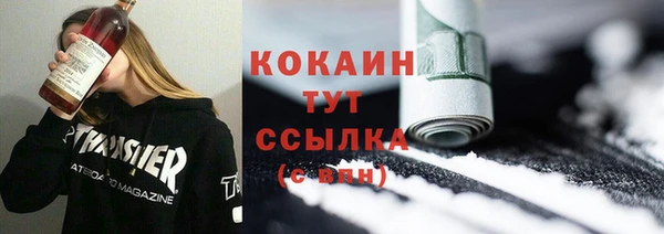 дживик Ельня