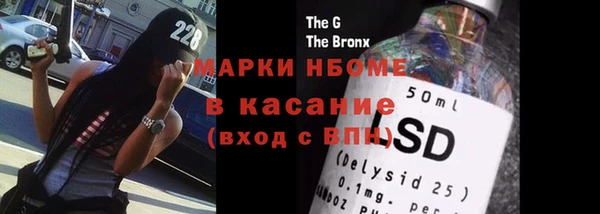 дживик Ельня