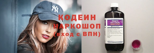 дживик Ельня