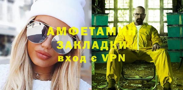дживик Ельня