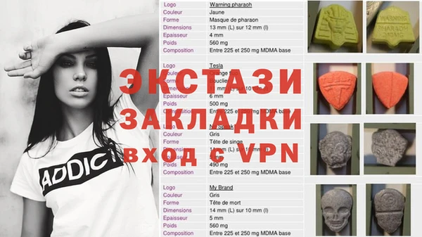 дживик Ельня
