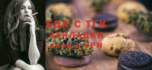 дживик Ельня