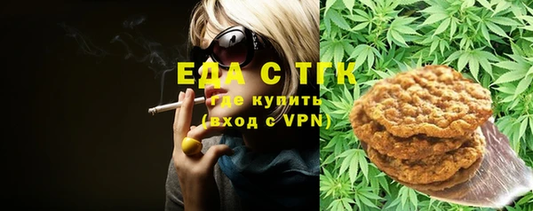 дживик Ельня