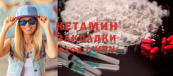 дживик Ельня