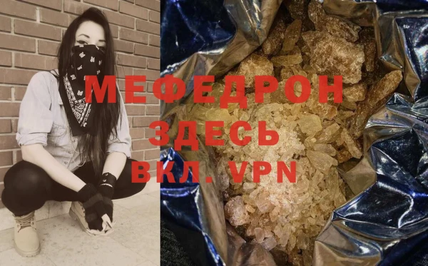 дживик Ельня