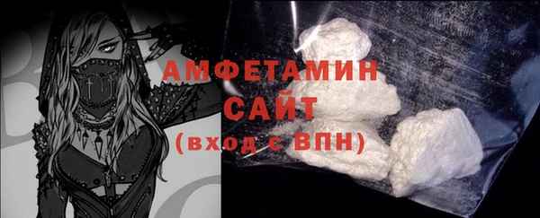 дживик Ельня