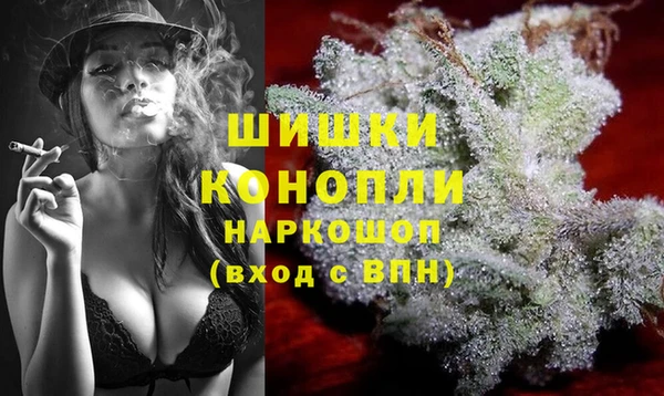 дживик Ельня